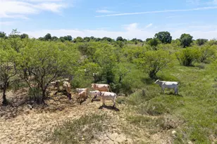 7582 Fm 2652, Loving, TX 76460 - Photo 24