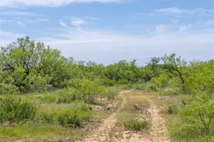7582 Fm 2652, Loving, TX 76460 - Photo 40