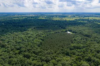 600 Anderson County Road 2805, Tennessee Colony, TX 75861 - Photo 2