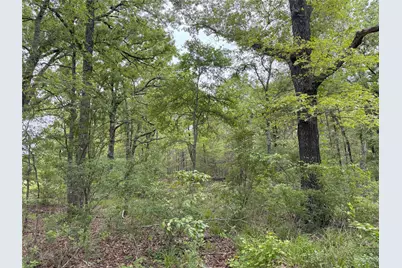 Lot 25 Rains County Road 2610, Alba, TX 75410 - Photo 12