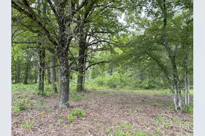 Lot 25 Rains County Road 2610, Alba, TX 75410 - Photo 8