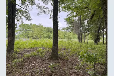 Lot 25 Rains County Road 2610, Alba, TX 75410 - Photo 10