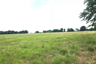 0 County Road 2813, Eustace, TX 75124 - Photo 1