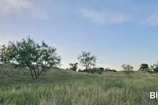 130 County Road 265 Tbd Rd, Priddy, TX 76870 - Photo 34
