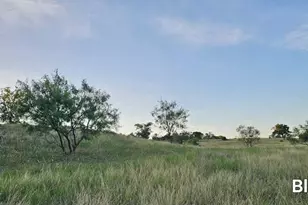 130 County Road 265 Tbd Rd, Priddy, TX 76870 - Photo 20