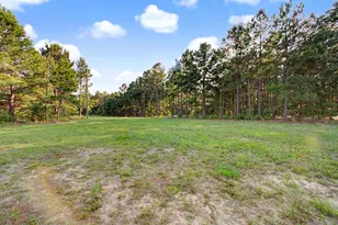 2874 An County Rd, Palestine, TX 75763 - Photo 34
