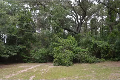 1508 Hwy 135, Overton, TX 75684 - Photo 4