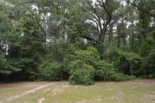1508 Hwy 135, Overton, TX 75684 - Photo 4