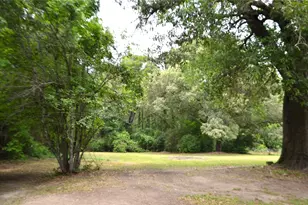 1508 Hwy 135, Overton, TX 75684 - Photo 12