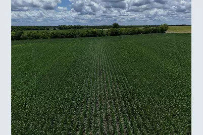 00203 Fm 2675, Enloe, TX 75432 - Photo 14