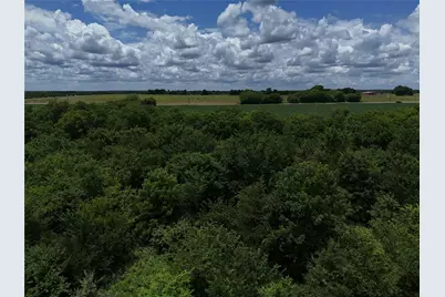 00203 Fm 2675, Enloe, TX 75432 - Photo 10