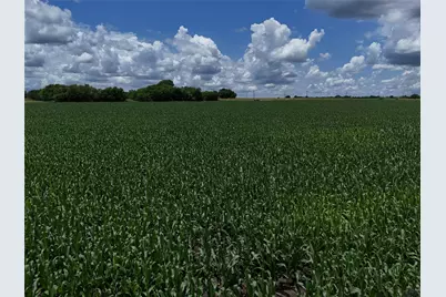 00203 Fm 2675, Enloe, TX 75432 - Photo 12