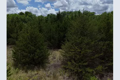 00203 Fm 2675, Enloe, TX 75432 - Photo 8