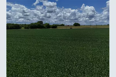 00203 Fm 2675, Enloe, TX 75432 - Photo 16