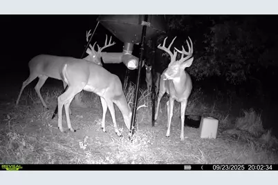 1932 County Road 222, Gainesville, TX 76240 - Photo 18