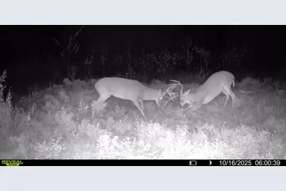 1932 County Road 222, Gainesville, TX 76240 - Photo 14