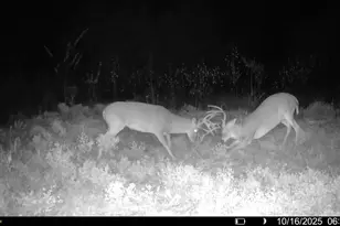 1932 Co Rd 222, Gainesville, TX 76240 - Photo 14