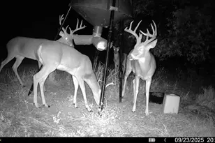 1932 Co Rd 222, Gainesville, TX 76240 - Photo 38