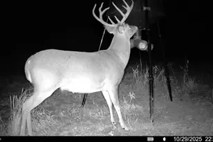 1932 Co Rd 222, Gainesville, TX 76240 - Photo 16
