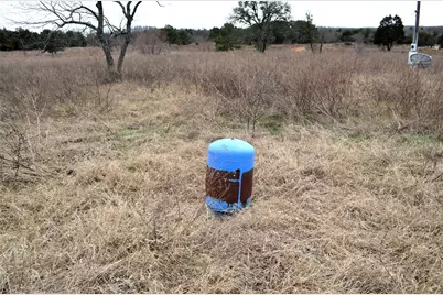 3843 Fm 1256, Eustace, TX 75124 - Photo 8