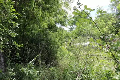 0 County Road 282, Dublin, TX 76446 - Photo 6