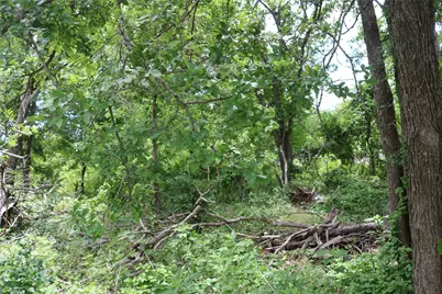 0 County Road 282, Dublin, TX 76446 - Photo 2
