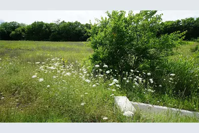 10468 State Highway 50, Ladonia, TX 75449 - Photo 8