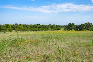 923 Natty Flat Rd, Lipan, TX 76462 - Photo 34