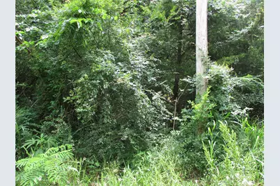 Tbd Robinson Street, Emory, TX 75440 - Photo 6