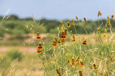 8380 Fm 585, Brownwood, TX 76801 - Photo 20