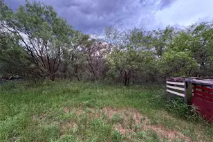 1117 N Tiffin Rd, Ranger, TX 76470 - Photo 10