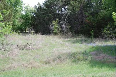 45011 Fringewood Drive, Whitney, TX 76692 - Photo 2