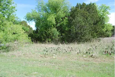 45011 Fringewood Drive, Whitney, TX 76692 - Photo 1