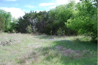 45011 Fringewood Drive, Whitney, TX 76692 - Photo 6