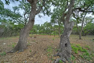 0000 Jim Bridger Dr, Austin, TX 78737 - Photo 22