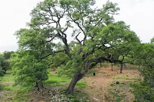 0000 Jim Bridger Dr, Austin, TX 78737 - Photo 8