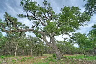 000 Jim Bridger Dr, Austin, TX 78737 - Photo 30