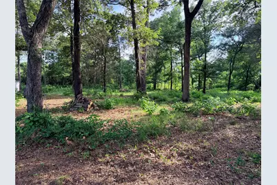 1542 and 1468 Vz County Road 4207 Road, Canton, TX 75103 - Photo 18