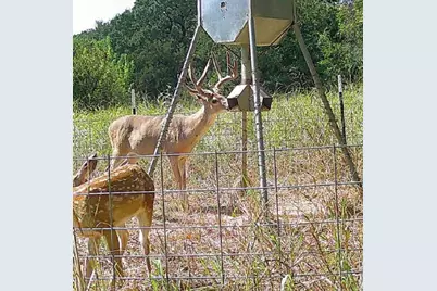 000 US Hwy 82, Sherman, TX 75092 - Photo 2