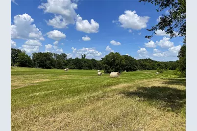 Tbd Hwy 164, Donie, TX 75838 - Photo 14