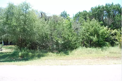 44155 Whisperwood Drive, Whitney, TX 76692 - Photo 1
