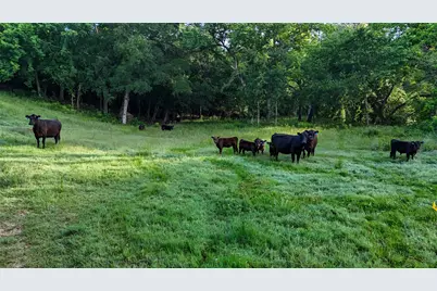 1148 County Road 1591, Alvord, TX 76225 - Photo 30