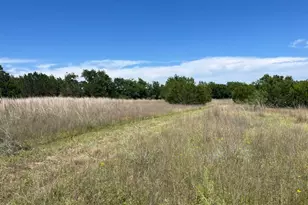 707 Co Rd 426, Purmela, TX 76566 - Photo 4