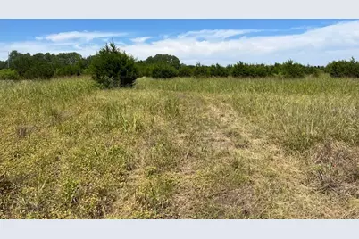 707 County Road 426, Purmela, TX 76566 - Photo 2