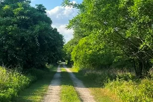 10970 Co Rd 4020, Kemp, TX 75143 - Photo 24