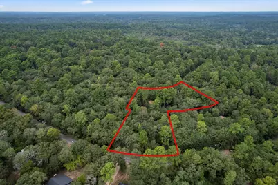 177 Woodfern Glen, Holly Lake Ranch, TX 75765 - Photo 30