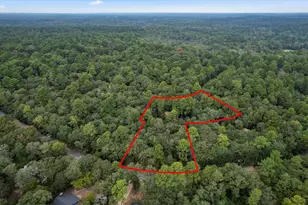 177 Woodfern Glen, Holly Lake Ranch, TX 75765 - Photo 30