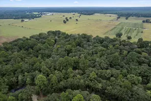 177 Woodfern Glen, Holly Lake Ranch, TX 75765 - Photo 28