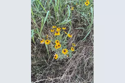 Lot 3 County Road 2130, Telephone, TX 75488 - Photo 6