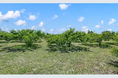 266 Old Chisholm Trail, Rhome, TX 76078 - Photo 32